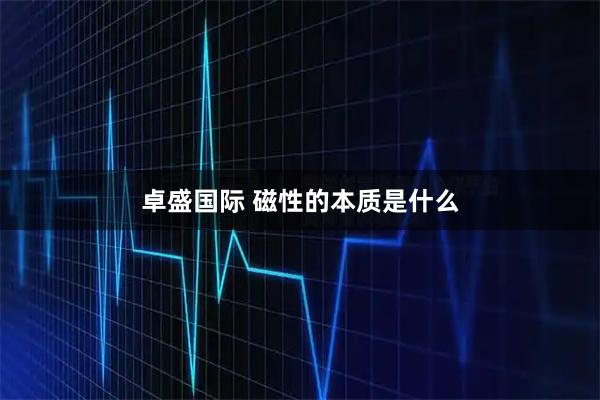 卓盛国际 磁性的本质是什么