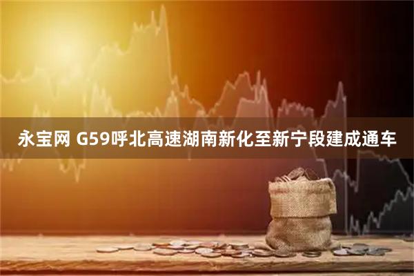 永宝网 G59呼北高速湖南新化至新宁段建成通车