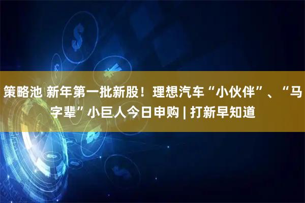 策略池 新年第一批新股！理想汽车“小伙伴”、“马字辈”小巨人今日申购 | 打新早知道