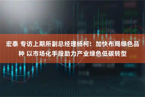 宏泰 专访上期所副总经理杨柯：加快布局绿色品种 以市场化手段助力产业绿色低碳转型