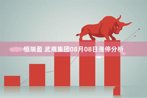 恒瑞盈 武商集团08月08日涨停分析