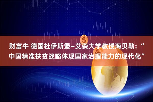 财富牛 德国杜伊斯堡—艾森大学教授海贝勒: “中国精准扶贫战略体现国家治理能力的现代化”